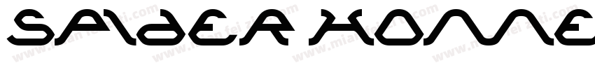 Spider Home字体转换